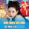 SIN88-Khám phá các ưu đãi tặng thưởng hấp dẫn!