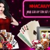 Zini Club-Giải quyết nhanh chóng với link truy cập nhanh!